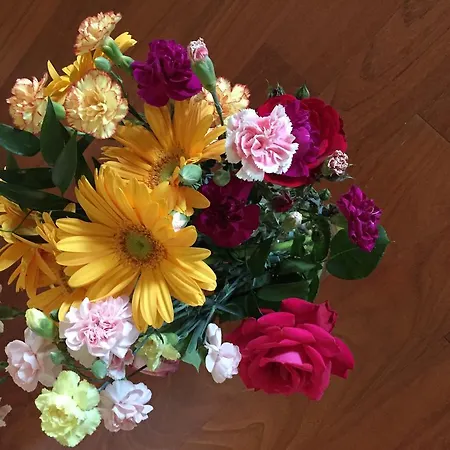 Guesthouse Flora-3