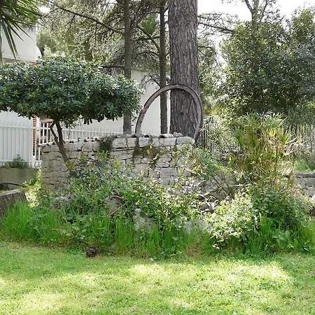 B&B Villa Garden-3