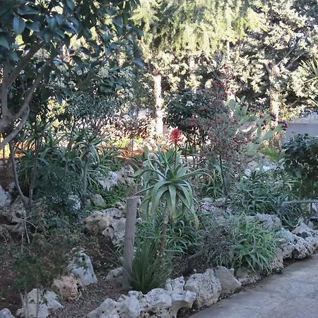 Santos B&B-3