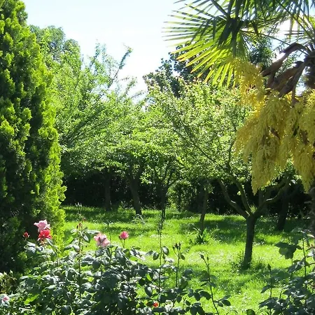 B&B Cristina-2