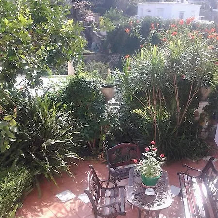 B&B Angelide-2