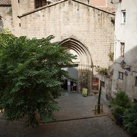 Hostal Excellence-2