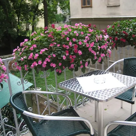 Pension Ani-Falstaff-2