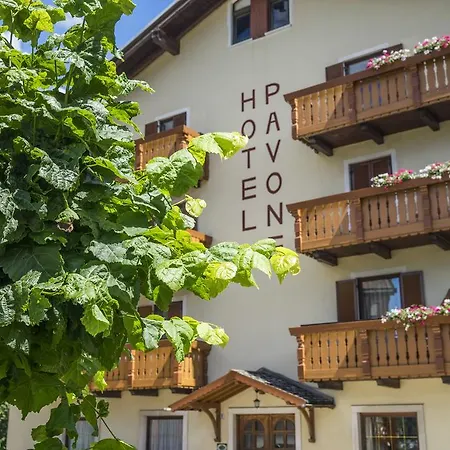 Hotel Pavone-3