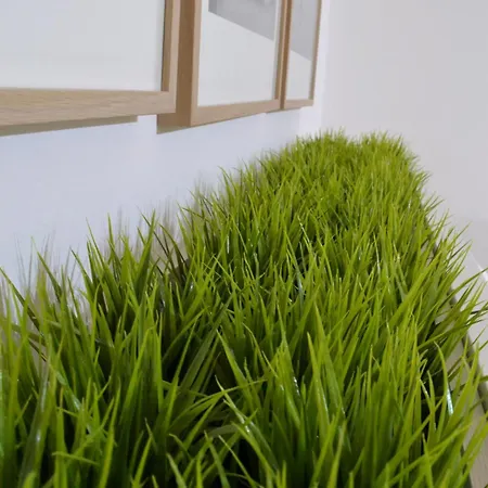 Green Domus-3