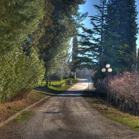 Assisi Garden-3