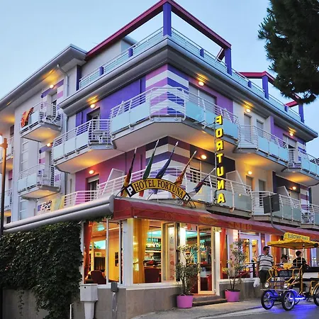 Hotel Fortuna-3