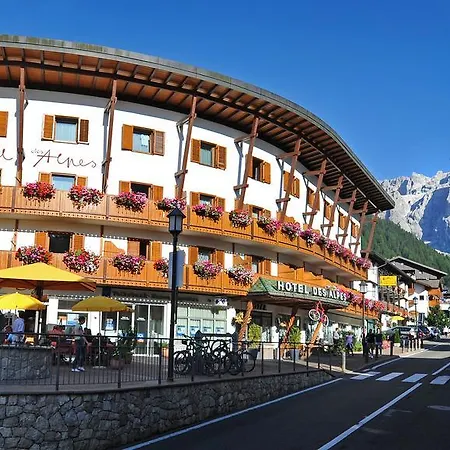 Hotel Des Alpes-2