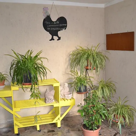 Il Giardino del Gallo-2