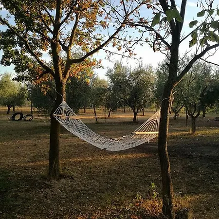 Axia Terme B&B, 4 min dal Centro Storico - PARK privato-2