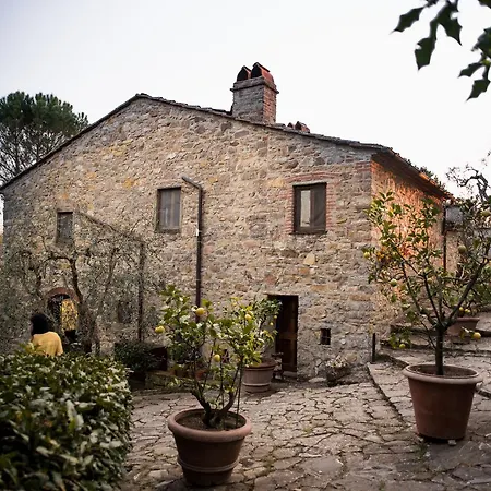 B&B Fagiolari-2