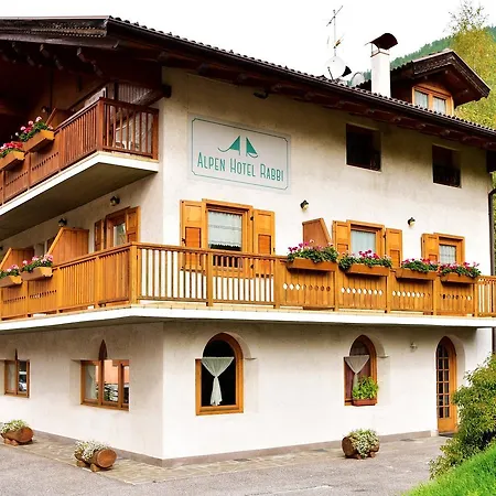 Alpen Hotel Rabbi-2