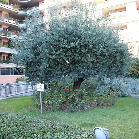 B&B le Pleiadi Aeroporto Fiumicino-3