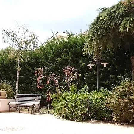 Hotel Holiday House-3