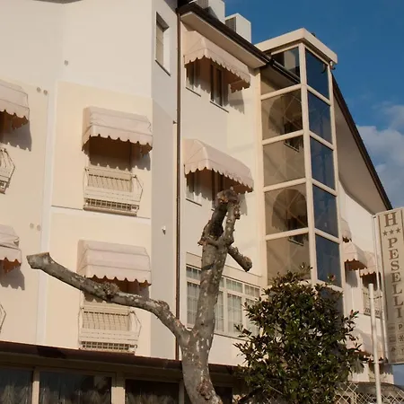 Hotel Peselli-2