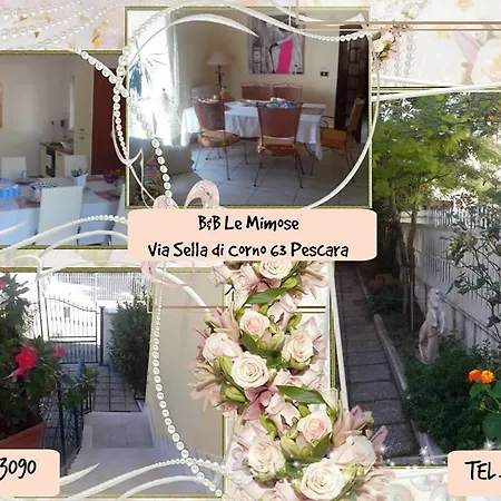 Le Mimose-3