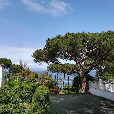 Villa Cinque Pini-3