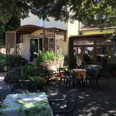 Hotel Il Pino-2