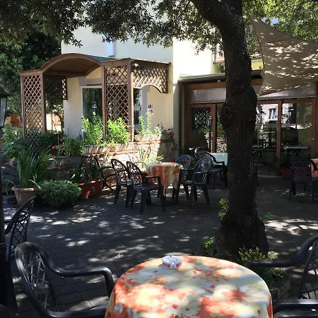 Hotel Il Pino-3