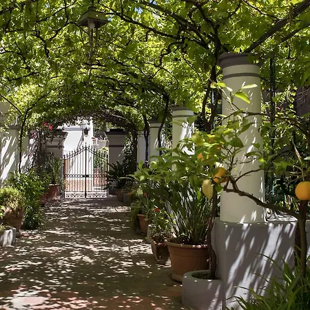 Elisir B&B-3