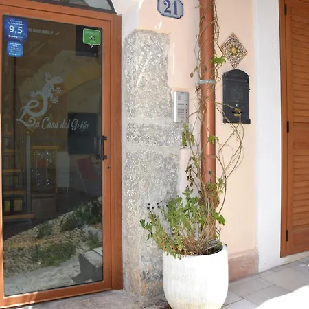 La Casa del Geko-3