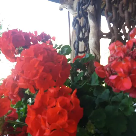 B&B Al Castel-2