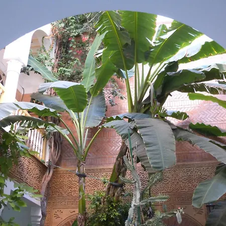 Riad Beij-2