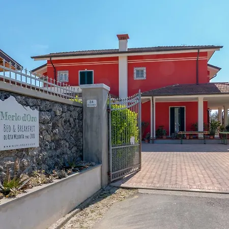 Merlo d'Oro-2