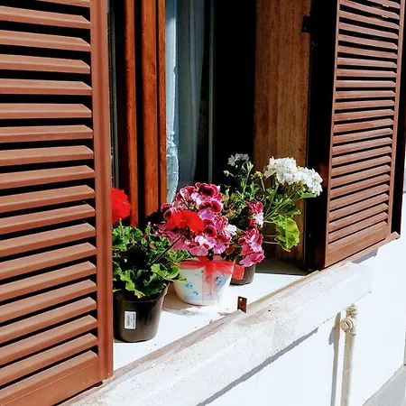B&B El Brumista-2