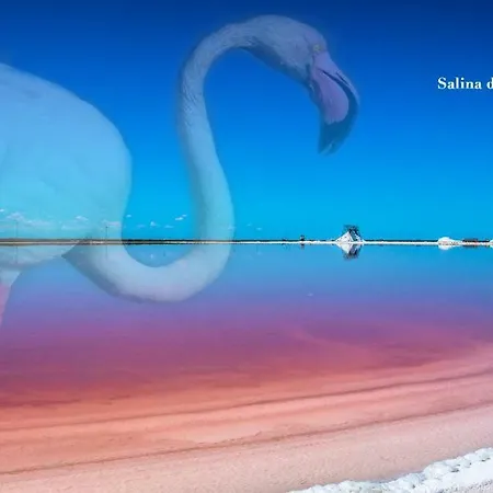La Perla delle Saline-2
