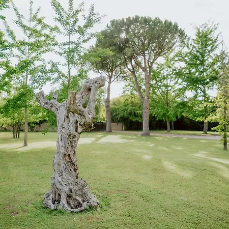 Fuori le Mura-3