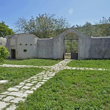 Regia Trazzera-3