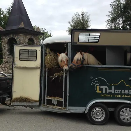 Lthorses & Dreams-2
