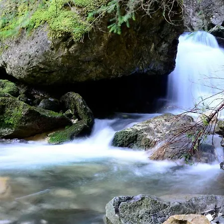 Hotel Garni Ruscel-2