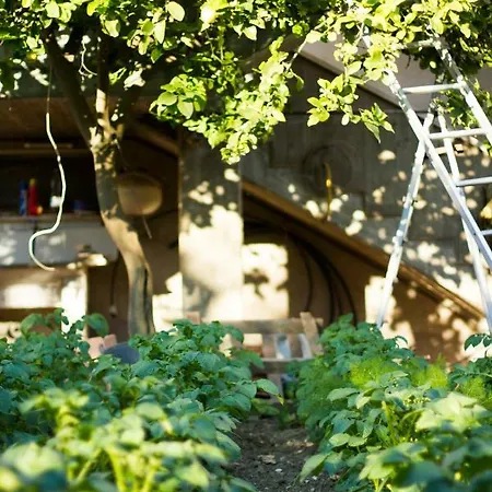 Arcobaleno B&B-2