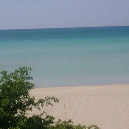 Il FARO-2