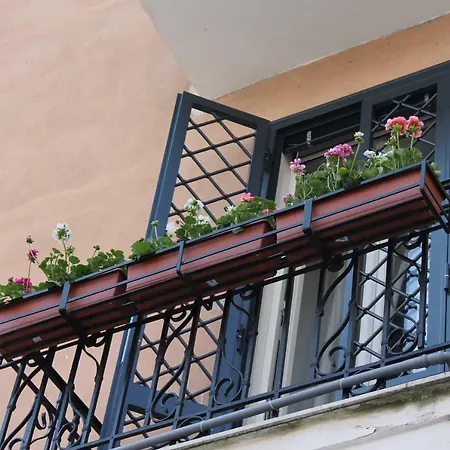 B&B Paura-3