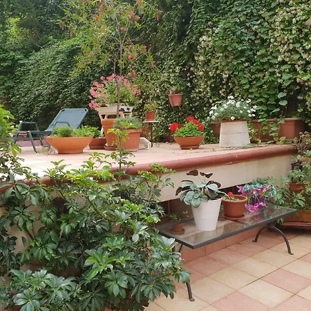 B&B Michelangelo-3