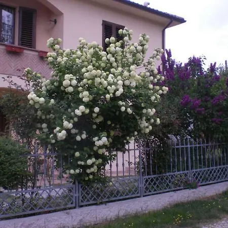 Il Castellare-2