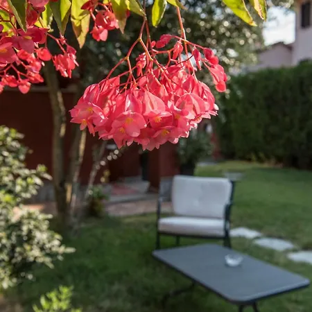 Villa Goccia di Vino-3