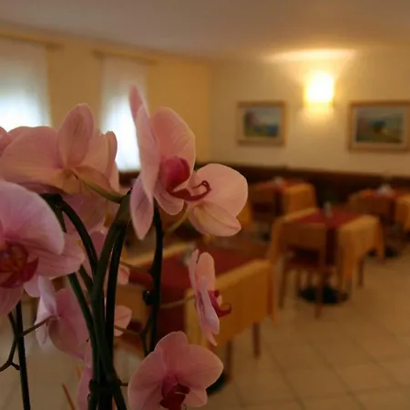 Hotel Villa Nadia-3