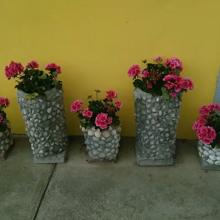 B&B Tisoi-3