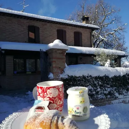 Il Castagneto-3