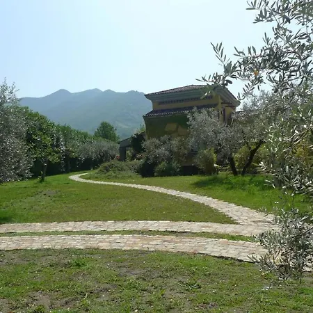 Le Ninfee-3