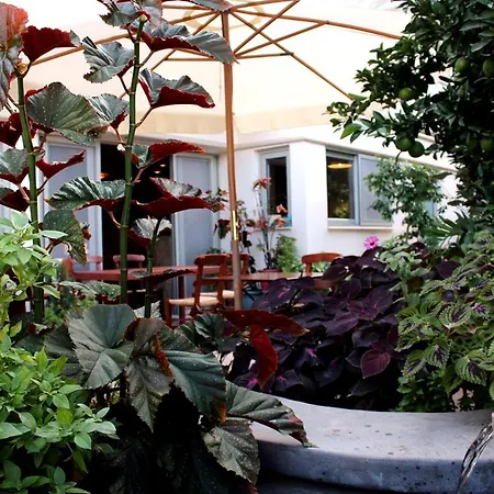 Philoxenia Hotel & Studios-3