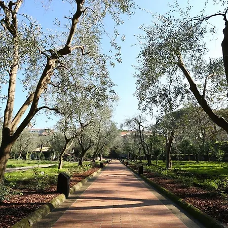 Villa Zagara - La Serra-3