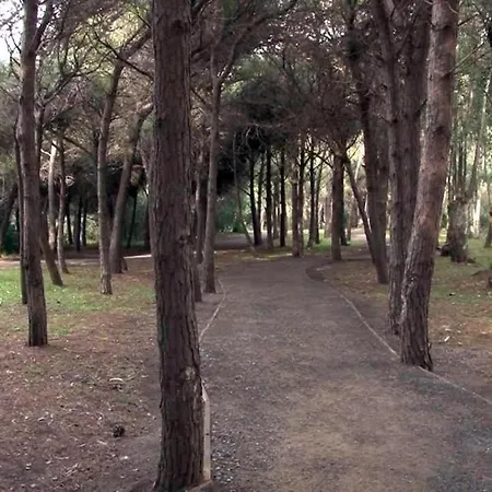 B&B Pineta Mare-2