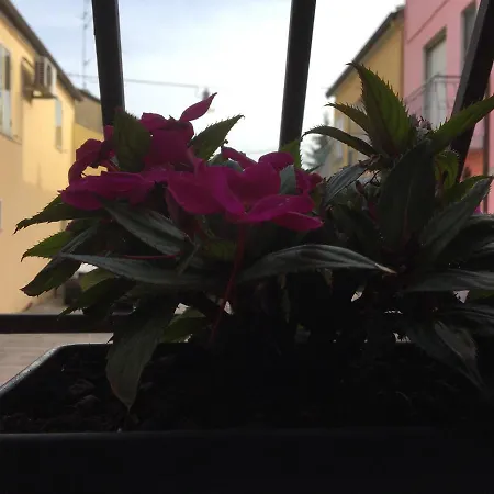 Da Mattia-2