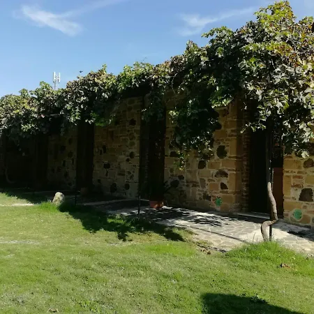 Il giardino di Don Peppino-2