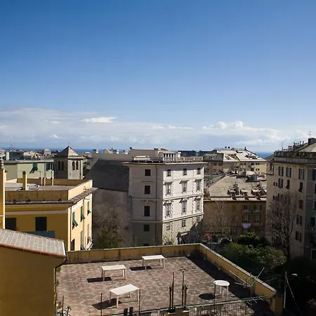 Piume Verdi-3